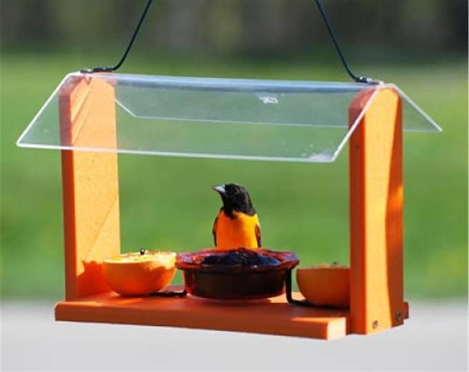 Birdfeeder Audubon Recycled Plastic Oriole and Bluebird Feeder