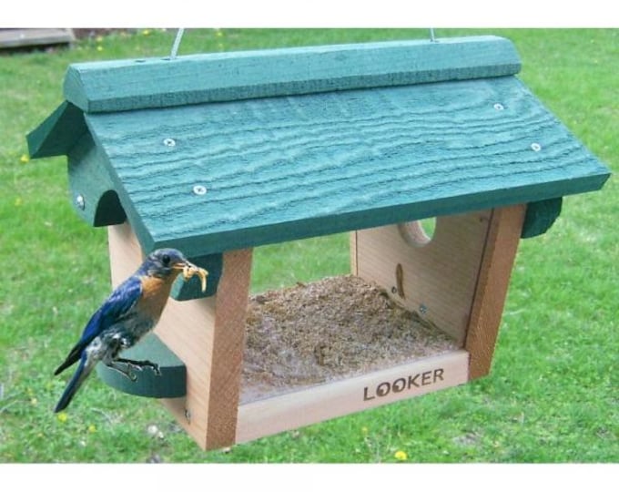 Red Cedar Bluebird Feeder | Hanging Mealworm & Bluebird Nugget Feeder | Weather-Protected Cedar Bird Feeder | Made in USA
