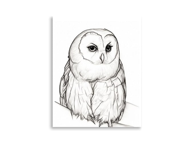 Barn Owl Pencil Sketch Poster | Black & White Owl Wall Art Print | Woodland Nature Decor