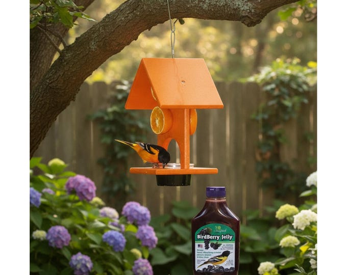 Bird Feeder Songbird Essentials Recycled Plastic Oriole Feeder and Jelly