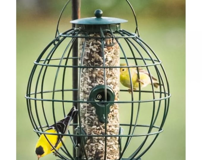 Squirrel Resistant Caged Bird Feeder | Petite Orb Seed Feeder | Small Songbird Feeder |