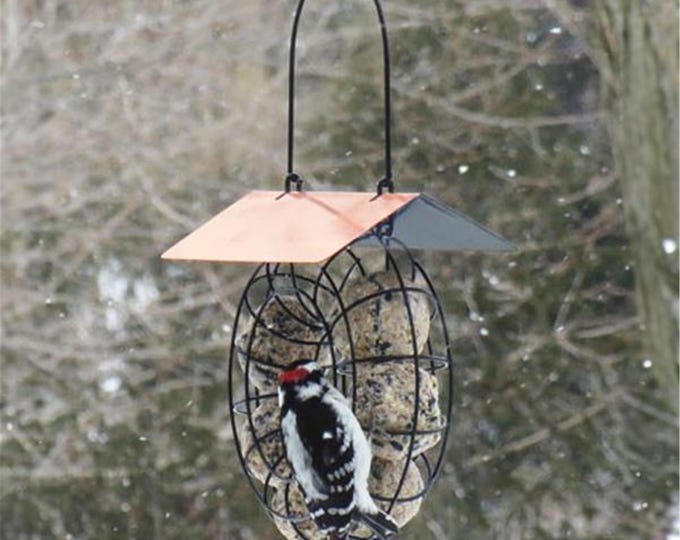 Suet  Seed Ball Feeder Copper Roof
