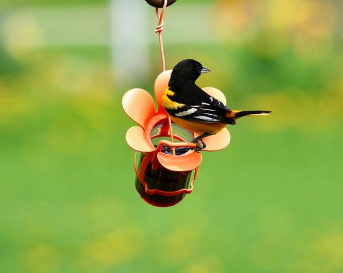 Bird  Jelly and Jam Feeder  Fits 10 to 12 oz Jelly or Jam Jars