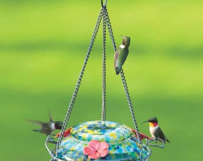 Hummingbird Feeder Illuminated Top Fill