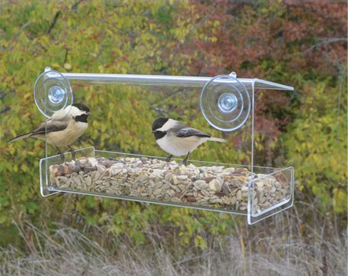Large Clear Window Bird Feeder — Made in the USA