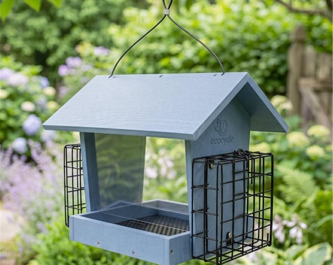 Hopper Hangout Bird Feeder w/Suet Basket