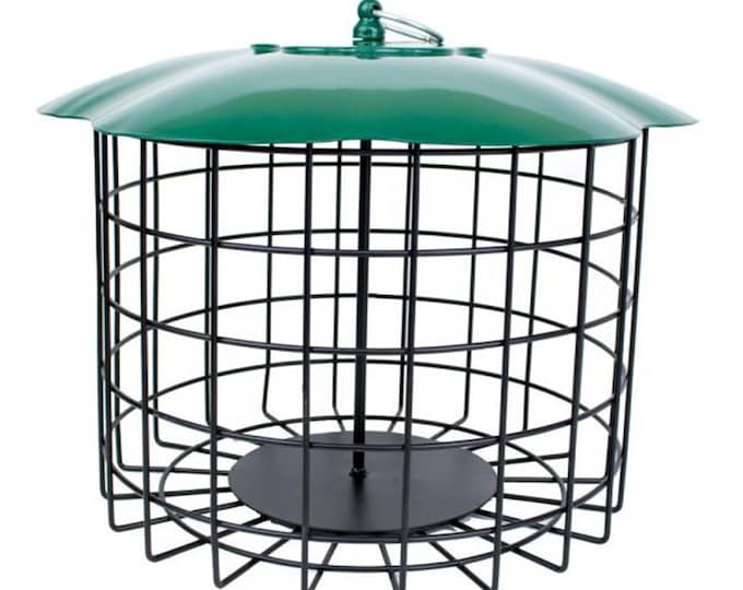 Squirrel Defeater Seed Log Feeder