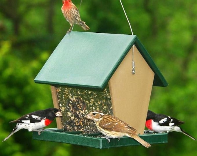 Large Recycled Plastic Hopper Bird Feeder | Hunter Green & Driftwood Hanging Seed Feeder | Eco-Friendly Wild Bird