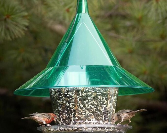 Green Mandarin Sky Cafe Bird Feeder Squirrel Proof Songbird Cardinal Feeder Large Capacity