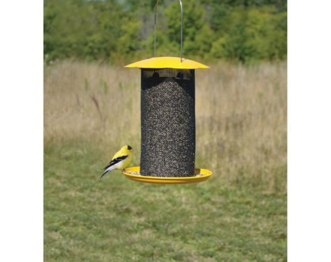 Mammoth Yellow Thistle Feeder – Large Capacity Finch Feeder for Nyjer Seed | Holds 5 lbs.