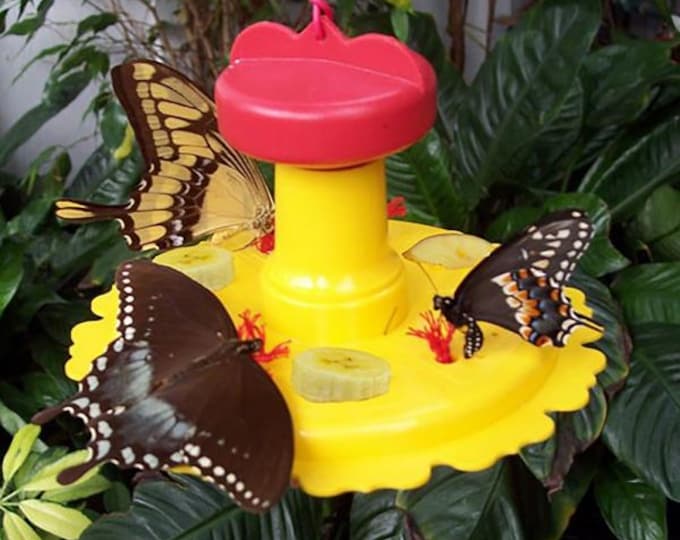 Butterfly Feeder with Nectar Reservoir & Fruit Spikes, Hanging Butterfly Feeder, Pollinator Garden Decor, Attract Monarchs Swallowtails