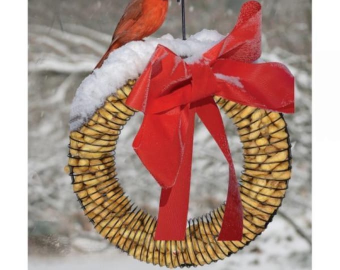 13" Peanut Wreath Bird Feeder | Whole Peanut Feeder for Blue Jays, Woodpeckers & Chickadees | Metal Hanging