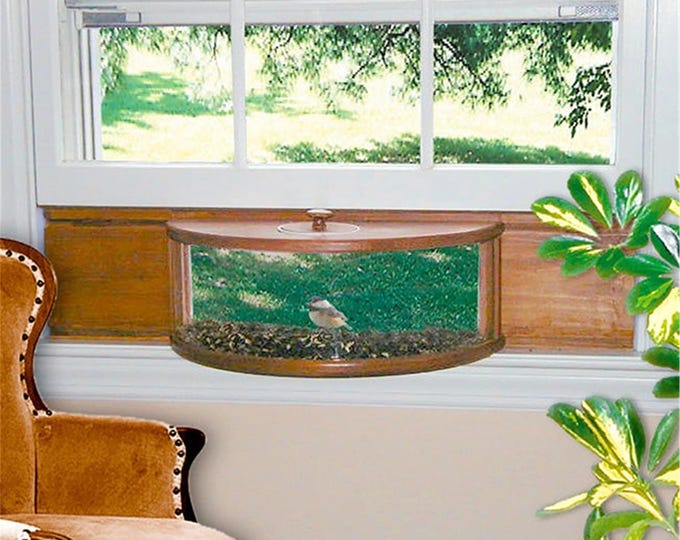 Panoramic In-House Bird Feeder with Mirrored Back