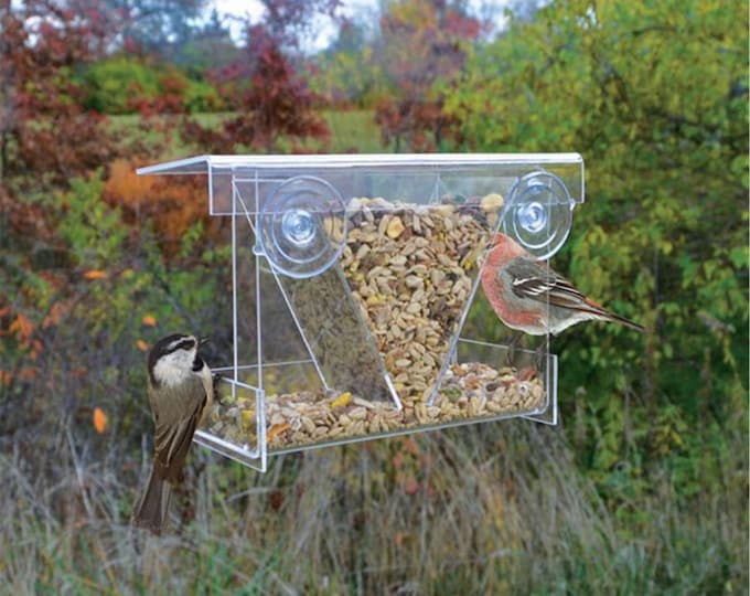 Clear View Hopper Window Bird Feeder — Up Close Bird Watching Made in the USA