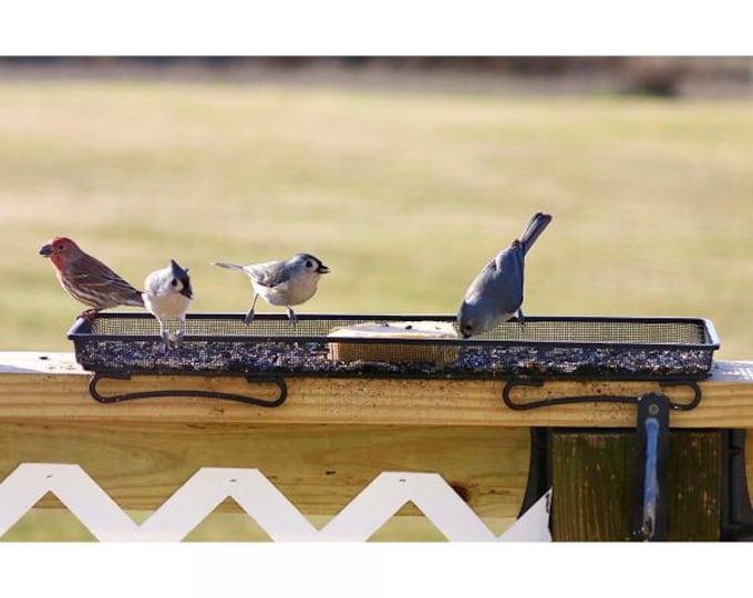 Platform Tray Bird Feeder | Open Mesh Bird Feeding Tray for Seed, Mealworms, Fruit & Suet | Powder-Coated Steel