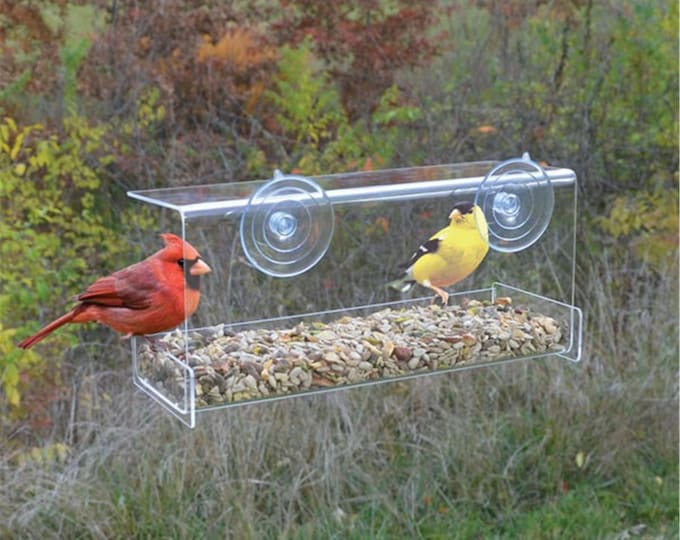 Large Clear Window Bird Feeder — 4 Cup Capacity Made in the USA