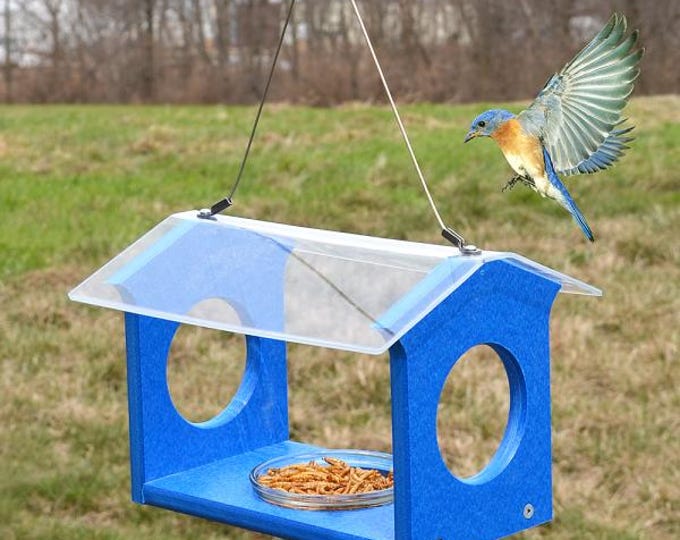 Bluebird Mealworm Feeder | Recycled Plastic Hanging  | Acrylic Roof for Mealworms, Bluebird Nuggets | Made in USA