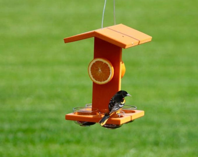 Bird Feeder Orange Poly Mammoth Oriole Feeder 4 Feeding Cups