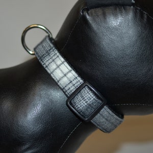 May include: A black and white plaid dog collar with a silver D-ring.