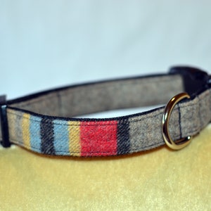 May include: A brown and grey dog collar with a multi-colored stripe pattern in red, yellow, blue, and black.