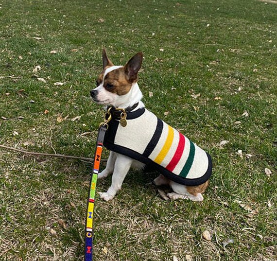 pendleton dog jacket