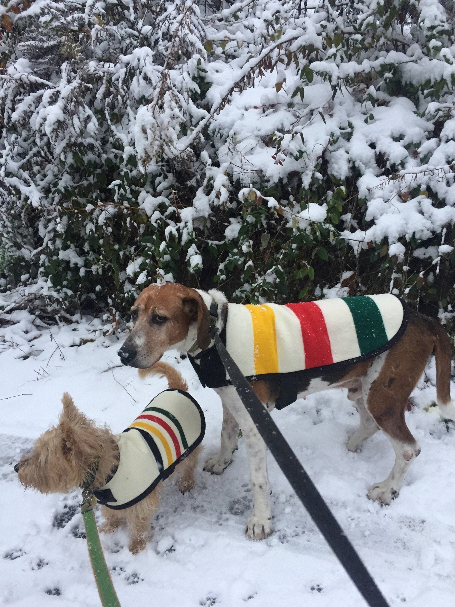 Custom Large and Extra Large XL wool Dog Coats handmade of Etsy