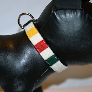 May include: A white dog collar with yellow, red, and green stripes. The collar has a silver metal buckle.
