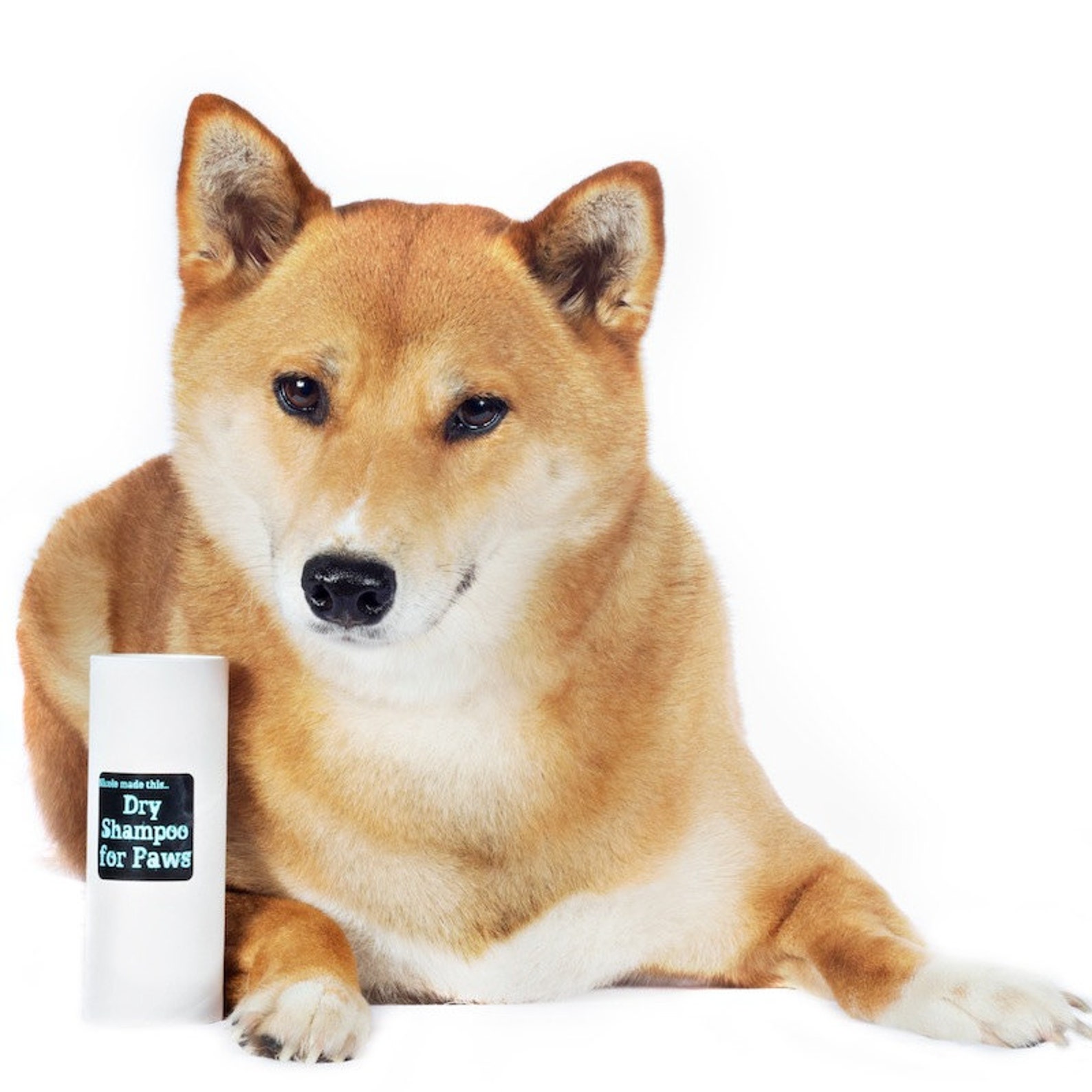Dry Shampoo For Paws All Natural Vegan Dry Shampoo For Dogs Etsy