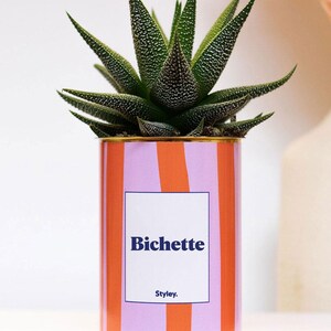 Puede incluir: Una planta suculenta en maceta dentro de una lata decorativa. La lata presenta rayas verticales naranjas y lilas, con la palabra "Bichette" en un rectángulo blanco. El texto "Styley." está debajo. La suculenta tiene hojas verdes y puntiagudas.