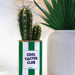 Pode incluir: Um vaso de lata listrado em verde e branco com um cacto dentro. A lata tem o texto "COOL CACTUS CLUB" em um rótulo branco. Um vaso branco e folhas de palmeira ao fundo.