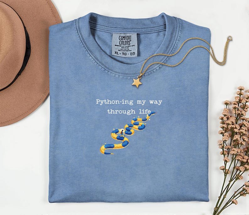 May include: A light blue Comfort Colors t-shirt with the text "Python-ing my way through life" and a yellow and blue snake graphic. A gold star pendant necklace rests on the shirt. A brown hat and flowers are in the background.