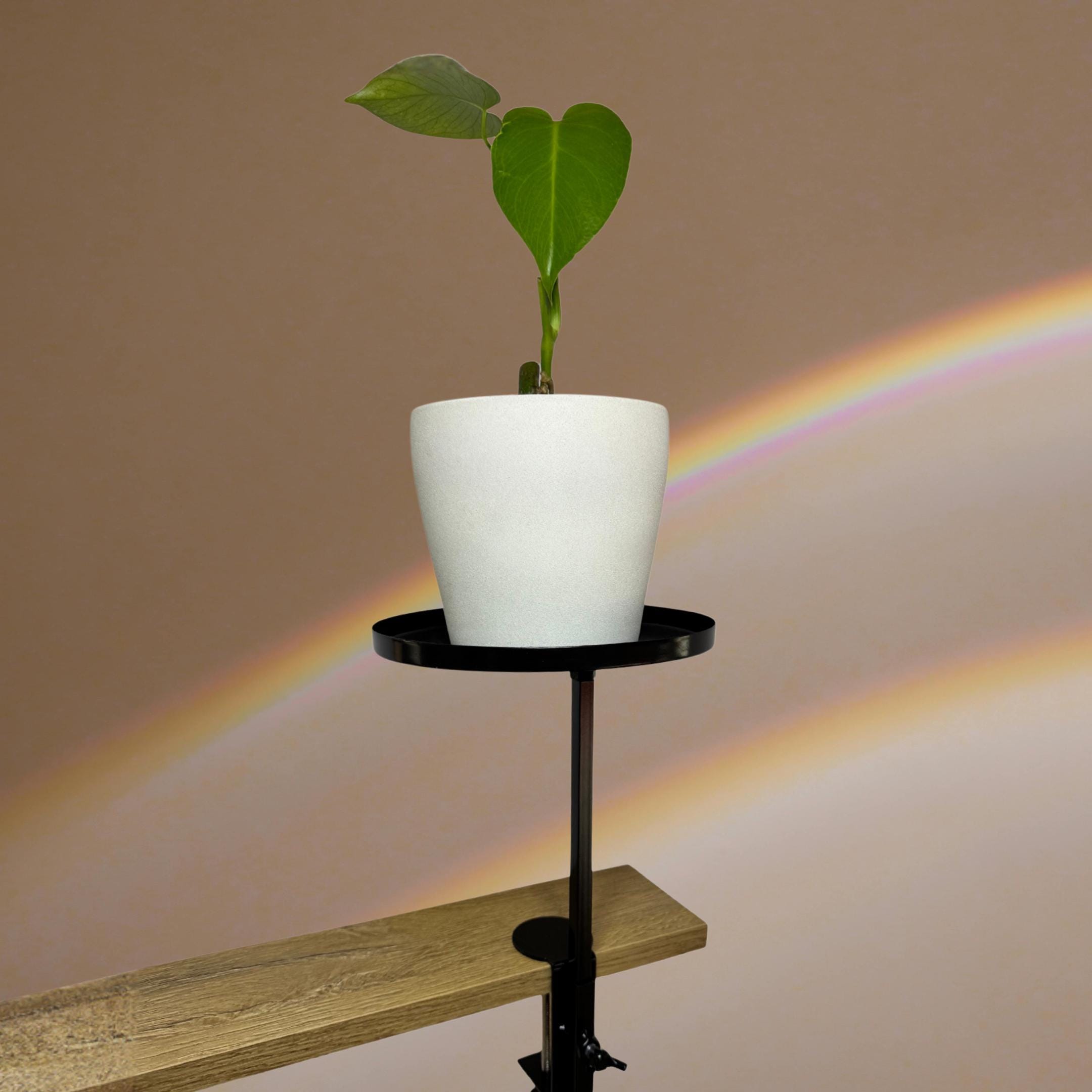 Tribesigns Supporto Per Piante Da Interno Alto A 5 Livelli, Grande - Foto 4