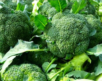 Semillas de brócoli/Heirloom/Sin OMG/Verdura de polinización abierta/300 semillas