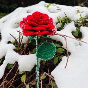 May include: A handcrafted red crochet rose with a green stem and leaf, set against a snowy backdrop. The flower's petals are intricately detailed, and the green elements provide a striking contrast to the red and white. A unique, handmade floral decoration.