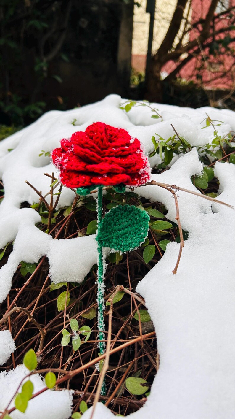 May include: A handcrafted red crochet rose with a green stem and leaf, set against a snowy backdrop. The flower's petals are intricately detailed, and the green elements provide a striking contrast to the red and white. A unique, handmade floral decoration.
