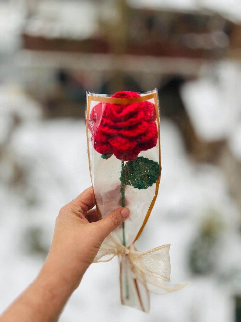 May include: A handmade red crochet rose in a clear cellophane wrapper, tied with a gold ribbon. The rose has green leaves and a long stem. The background is blurred, with a snowy outdoor scene.