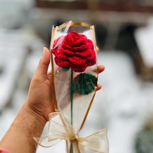 May include: A handcrafted red crochet rose in a clear cellophane sleeve with gold trim and a gold ribbon bow. The rose has green leaves and a long green stem. The background is blurred, suggesting an outdoor setting.