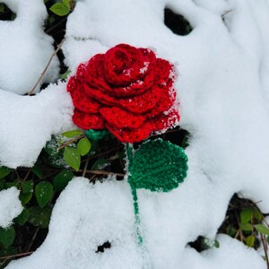 May include: A handmade red crochet rose with a green stem and leaf, set against a snowy backdrop. The vibrant red flower contrasts with the white snow and green foliage.