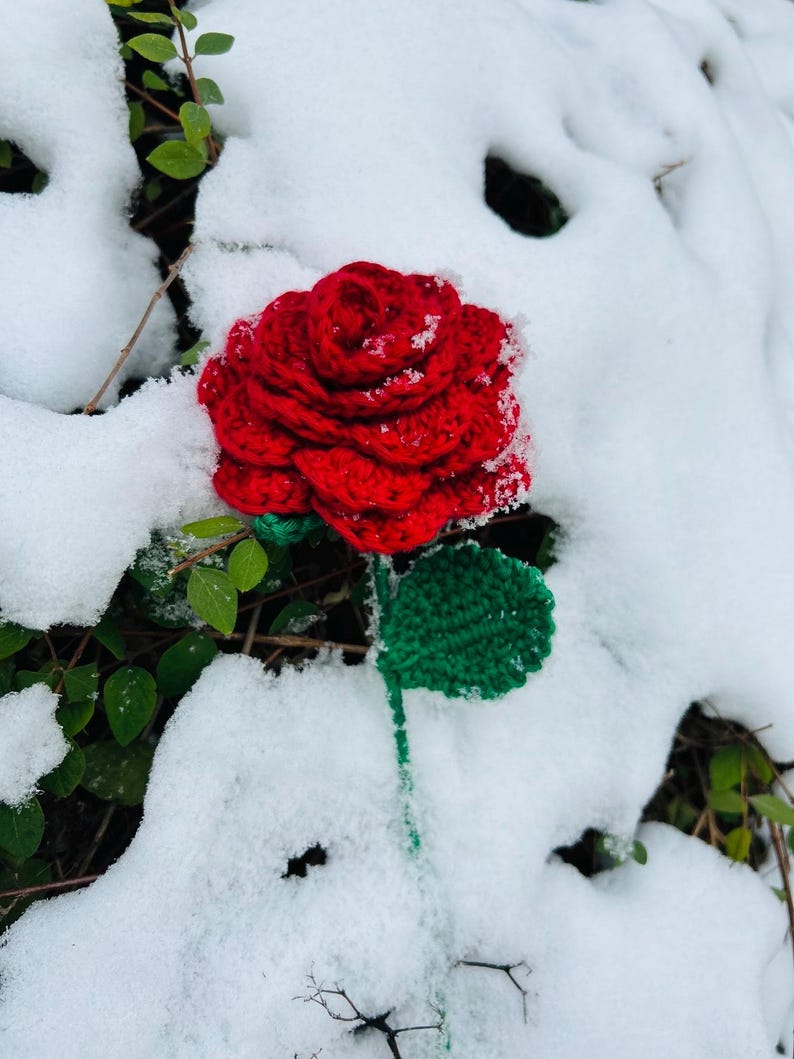 May include: A handmade red crochet rose with a green stem and leaf, set against a snowy backdrop. The vibrant red flower contrasts with the white snow and green foliage.