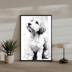 Puede incluir: Una ilustración en blanco y negro estilo boceto de un perro de pelo desgreñado sentado y mirando hacia arriba. La obra está presentada en un marco rectangular negro fino, capturando la textura detallada del pelaje y su expresión atenta.