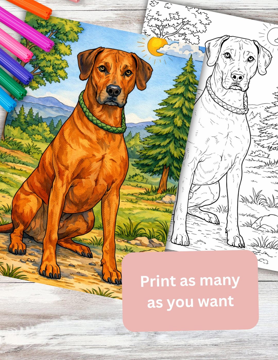 Puppy Rhodesian Ridgeback Coloring Page Big Dog Rhodesian Ridgeback Coloring Page Instant Digital Download PDF ...