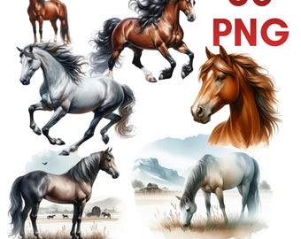 60 Horse Clipart bundle png, watercolor, western design, commercial use, digital download