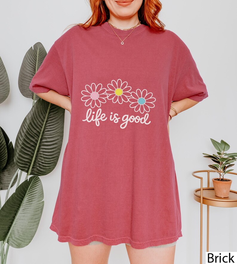 May include: A brick-red t-shirt featuring the text "life is good" in white script, with three daisy designs in pink, yellow, and blue. The top has short sleeves and a loose fit.