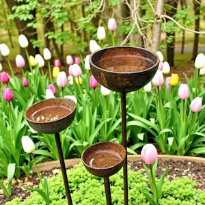 Puede incluir: Tres bebederos para pájaros de metal oxidado de diferentes alturas, llenos de agua, se encuentran en un jardín. Los bebederos están rodeados de vibrantes tulipanes en tonos rosa, blanco y amarillo, con un fondo de follaje verde y árboles.