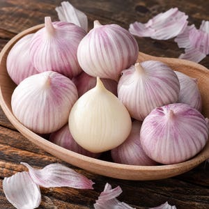 Puede incluir: Un cuenco de madera lleno de varios bulbos de ajo enteros, cada uno con una forma suave y redondeada con piel a rayas de color blanco y morado claro, junto a un único bulbo de ajo blanco sólido colocado prominentemente en el centro del conjunto.