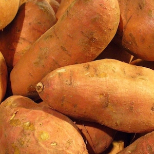May include: A close-up shot of several sweet potatoes. The sweet potatoes have a reddish-brown skin with some dirt and blemishes. The potatoes are piled together, filling the frame.