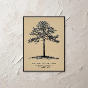 Può includere: Una stampa incorniciata con un'illustrazione in bianco e nero di un pino a foglie lunghe del sud. L'albero è su uno sfondo beige, con il testo in basso: "SOUTHERN LONGLEAF PINE THE OFFICIAL STATE TREE OF ALABAMA."