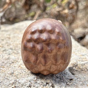 May include: A handcrafted wooden owl figurine with a detailed, textured surface. The owl is carved from a light brown wood, showcasing the natural grain and patterns. The figurine has a rounded body and a slightly flattened base, suggesting a decorative item.