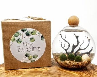 Cool Gift Ideas Etsy
