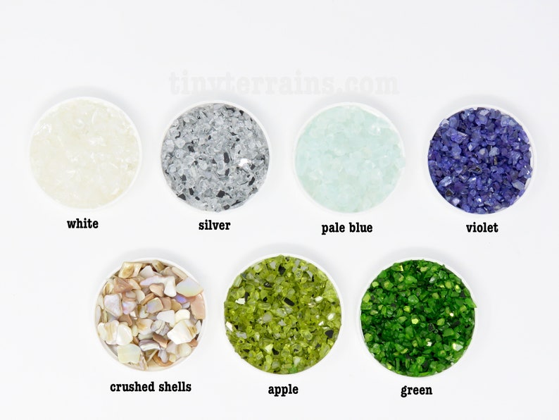 FREE SHIPPING Small Stainless Steel Clamping Lid Glass Jar Marimo Moss Ball Terrarium Kit